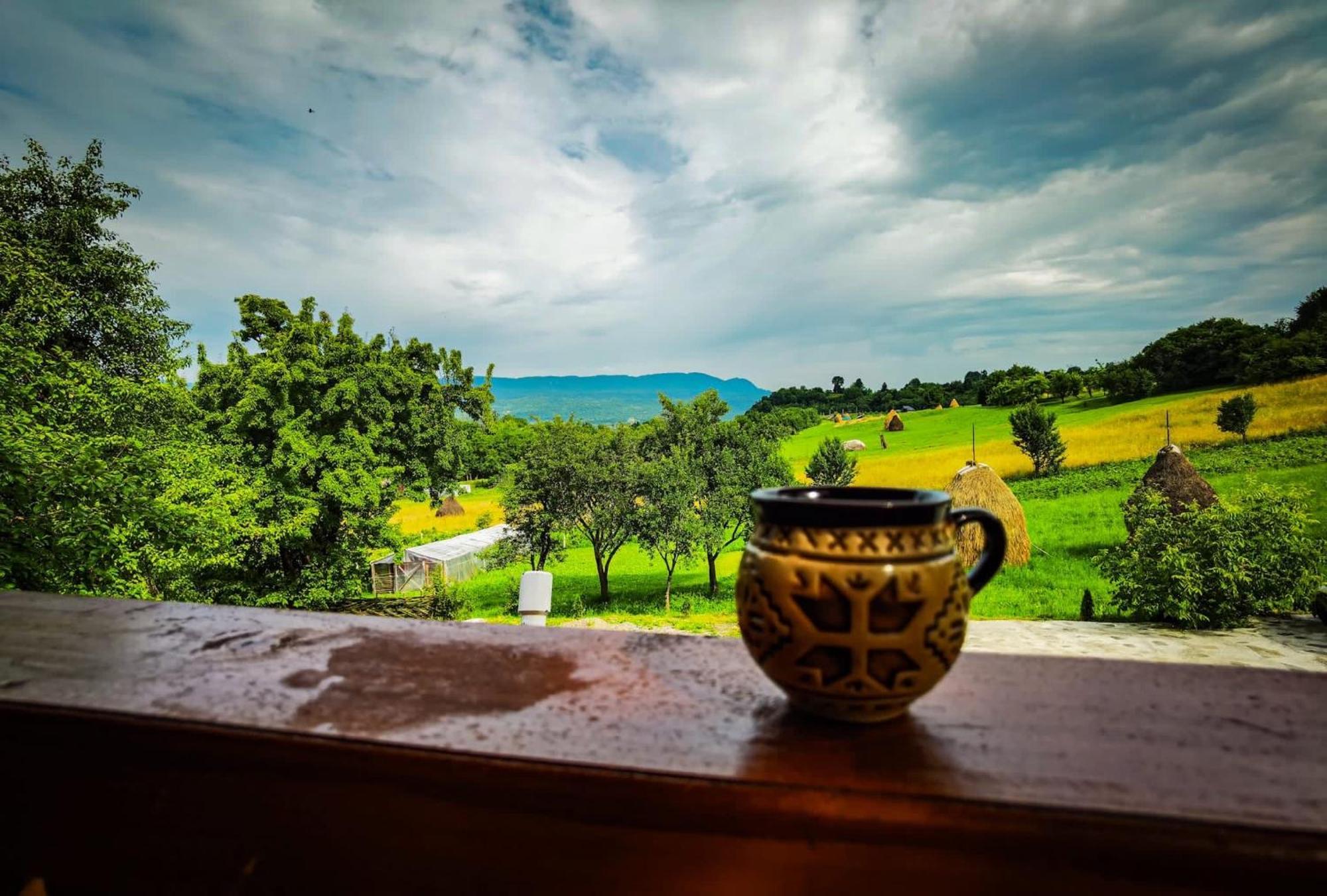 Casa Leca Guest house 3*